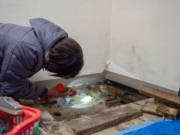 Best Crawl Space Mold Remediation  in Lyndhurst, OH