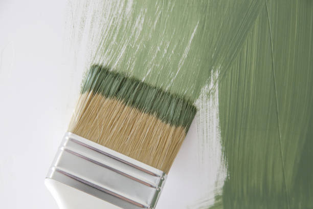Best Mold Prevention Services  in Lyndhurst, OH
