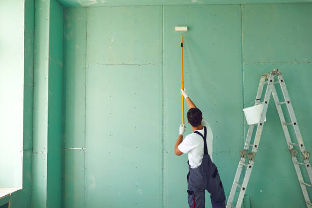 Best Mold Damage Restoration  in Lyndhurst, OH