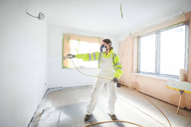 Best Water Damage & Mold Remediation  in Lyndhurst, OH