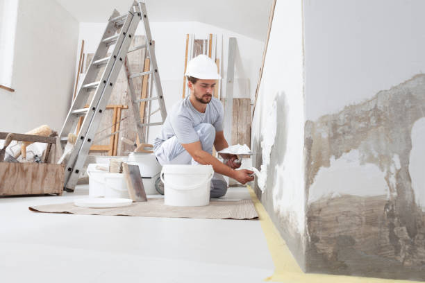 Best Forensic Mold Investigation  in Lyndhurst, OH