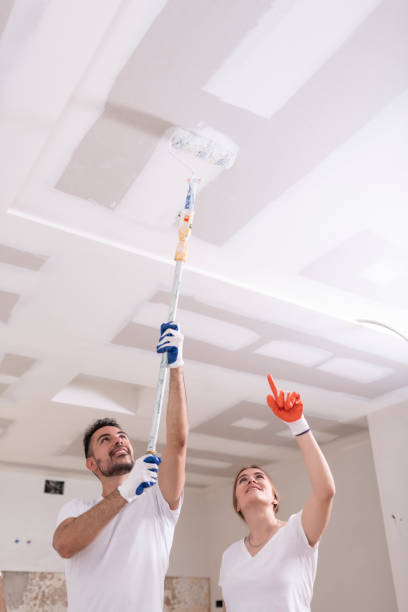 Best Emergency Mold Remediation  in Lyndhurst, OH