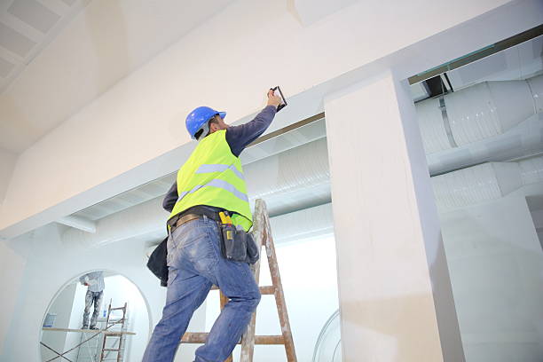 Best Mold Remediation for Healthcare Facilities  in Lyndhurst, OH