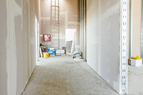 Best Post-Construction Mold Inspection  in Lyndhurst, OH