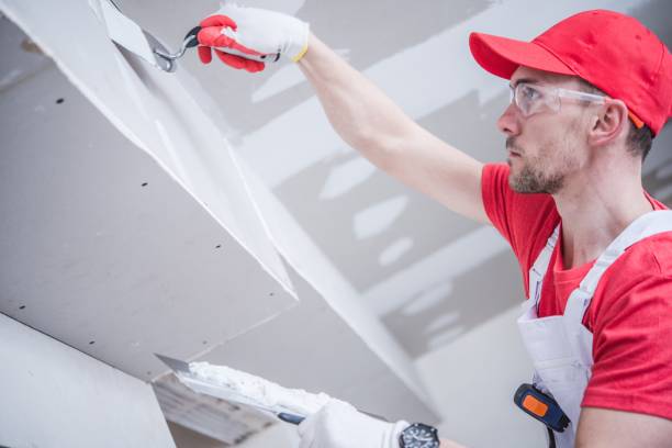 Best Industrial Mold Remediation  in Lyndhurst, OH